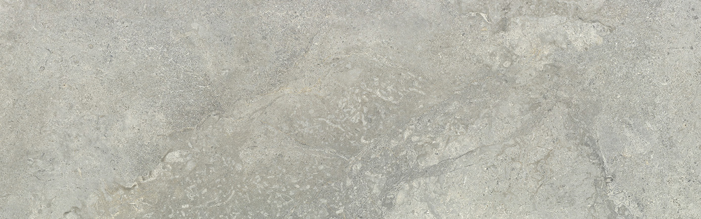 海鸥